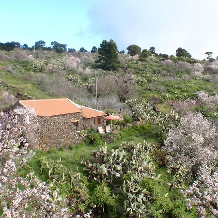 Casa Rural La Jarita Guest House El Pinar  Exterior photo