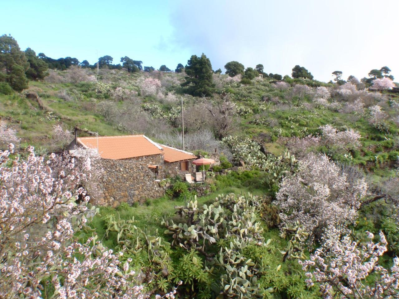 Casa Rural La Jarita Guest House El Pinar  Exterior photo